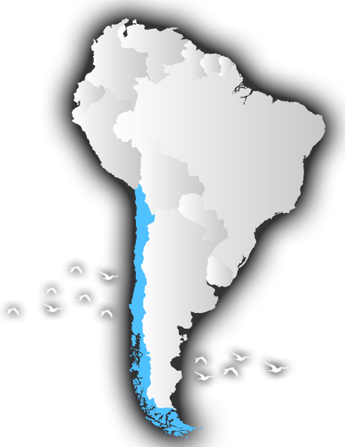 birdwatchingchile map